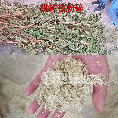 桃树枝粉碎机新鲜桃树枝细碎机